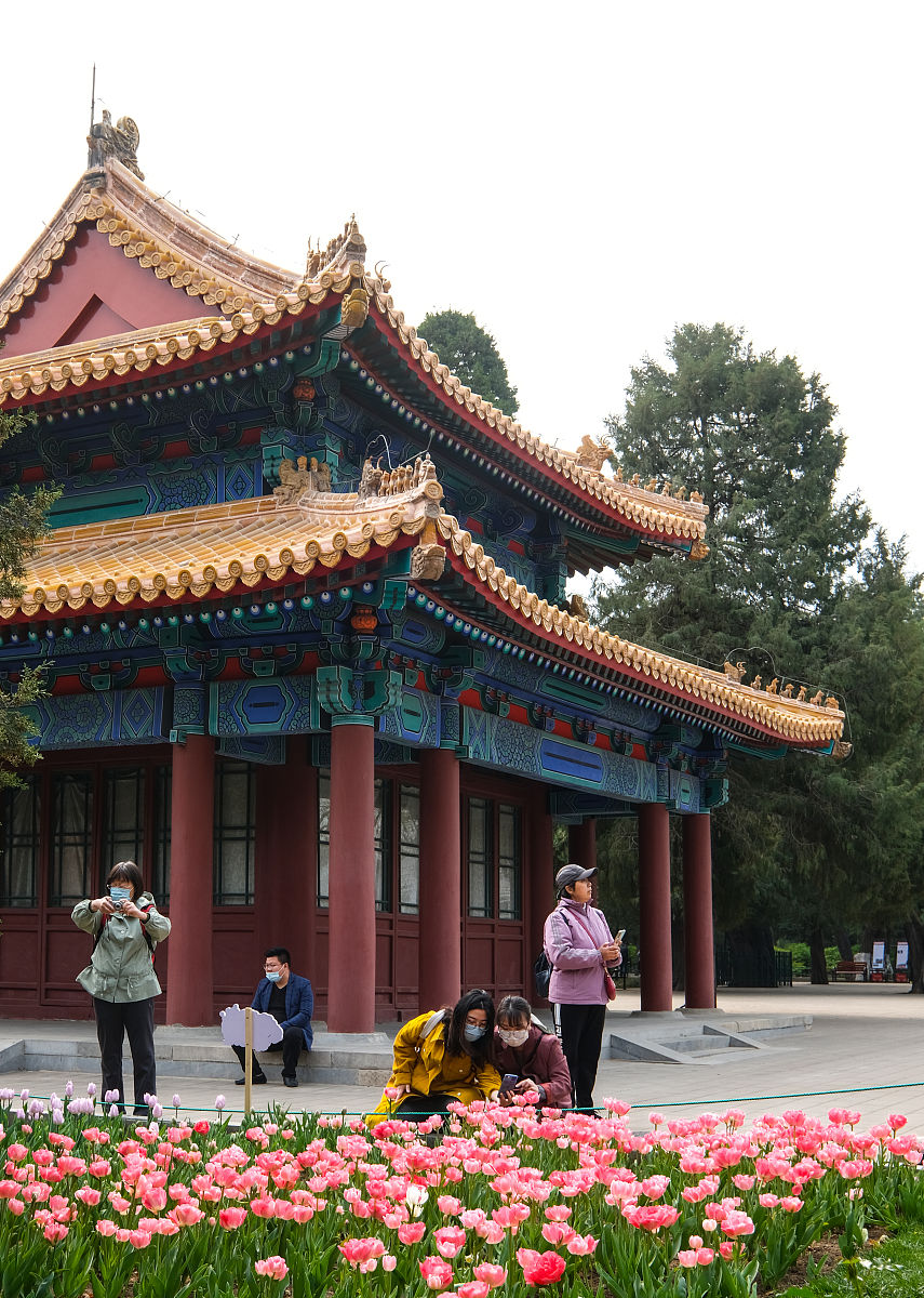 商丘职业学院旅游英语专业：培养旅游行业英语人才