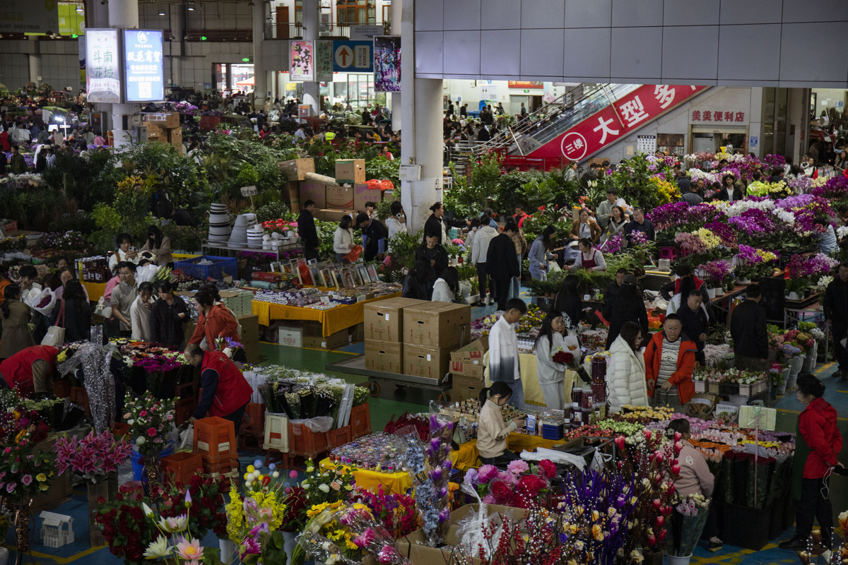 南宁花卉市场发展现状及不足：机遇与挑战并存