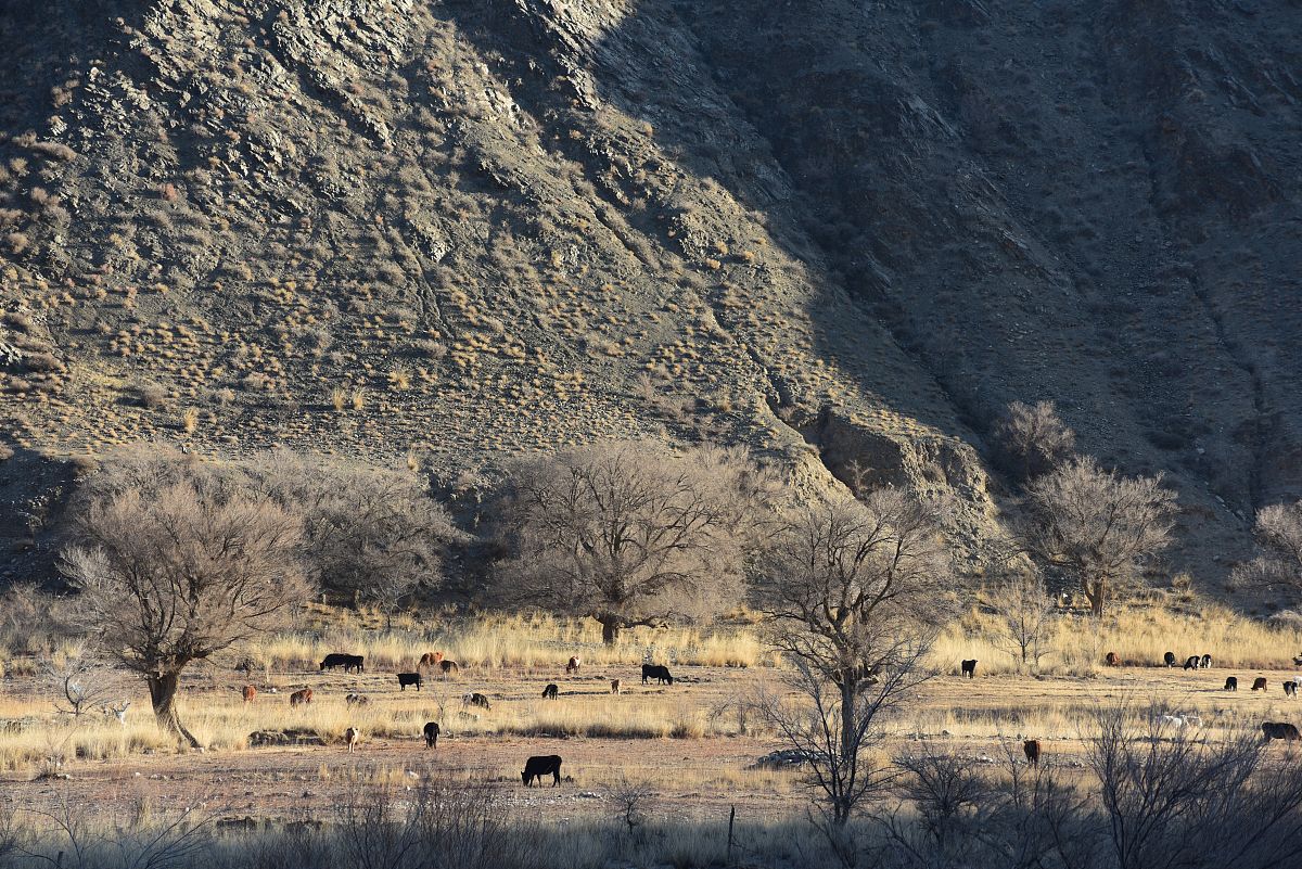 四川矿产机电技师学院地质勘查专业怎么样？优势分析