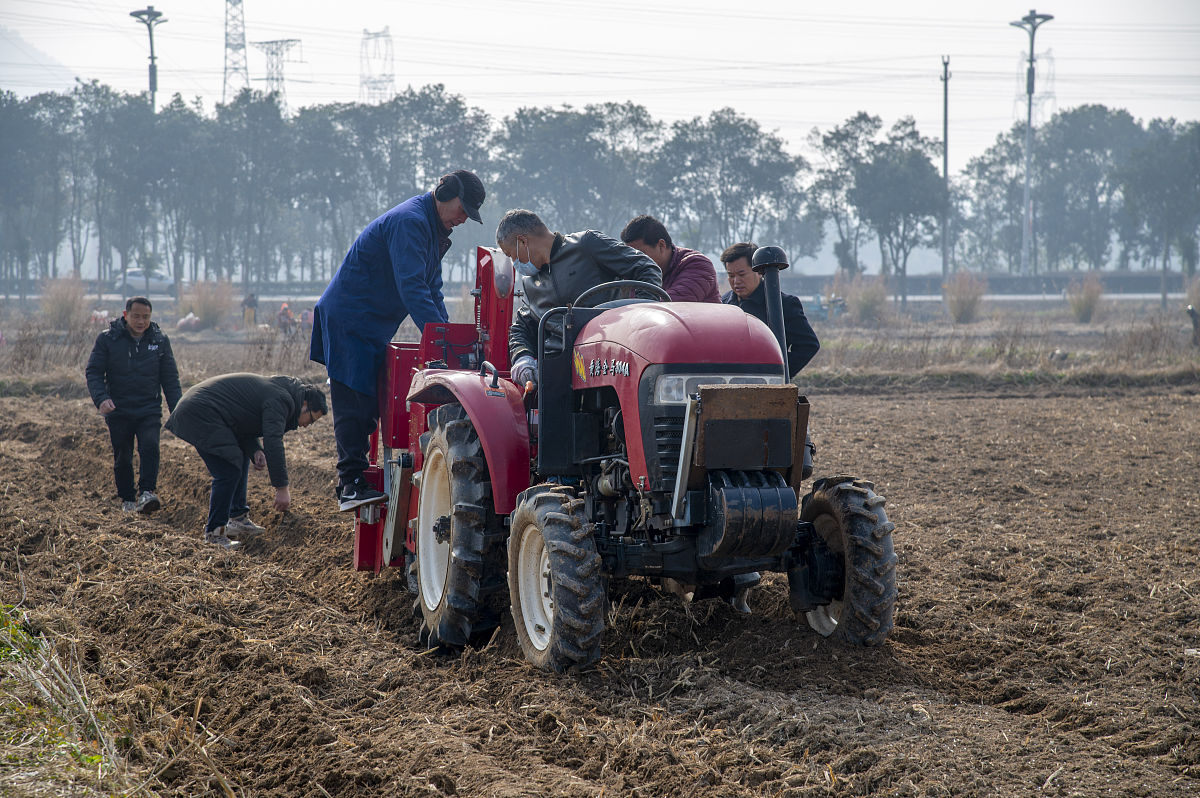 临夏农业学校热门专业推荐：2021年受欢迎专业解析