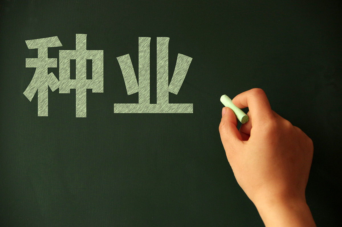 内蒙古农业大学种子生产与经营专业怎么样？发展前景分析