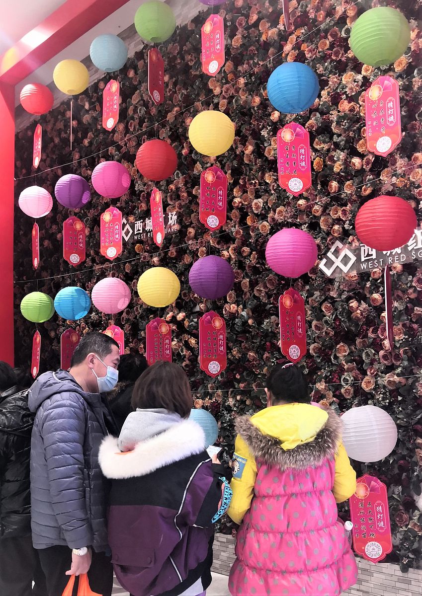 猫咪谜语：猜猜是什么？