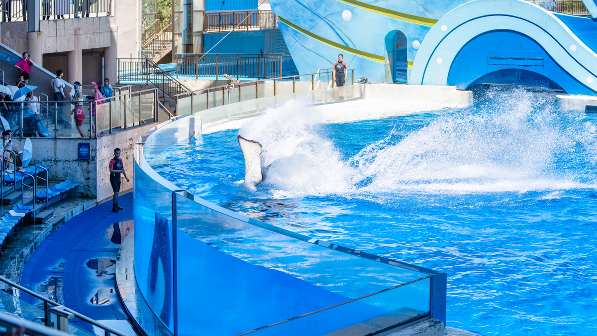 海南热带海洋世界