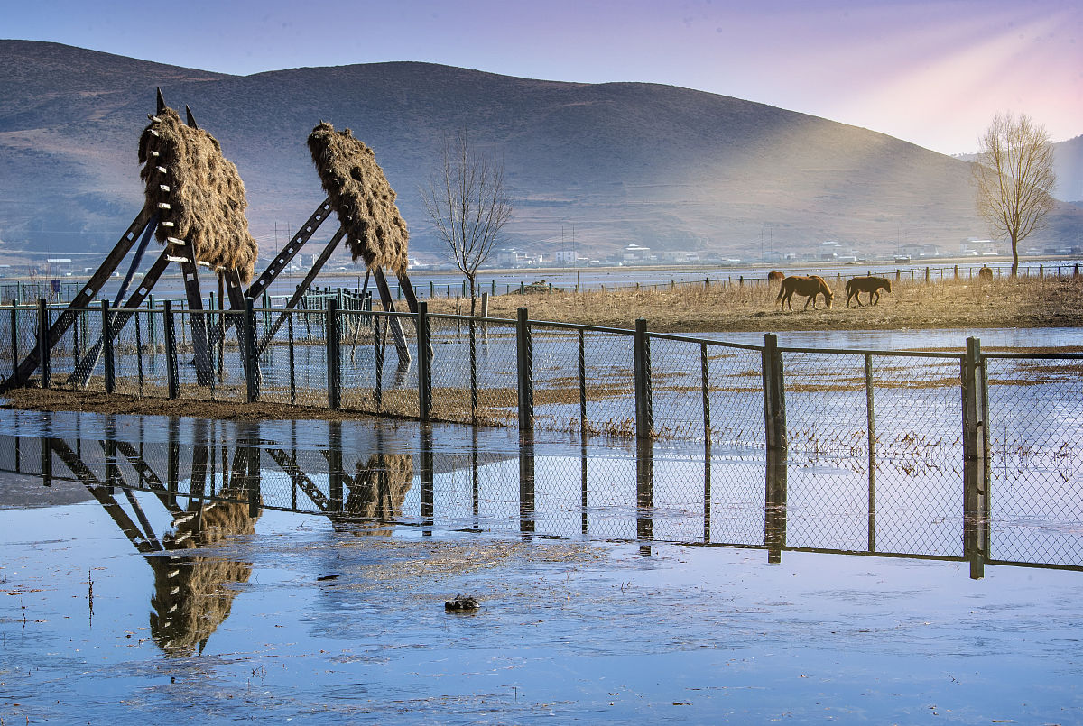 迪庆州幼师民族中等专业学校3+2五年制大专招生简章怎么样