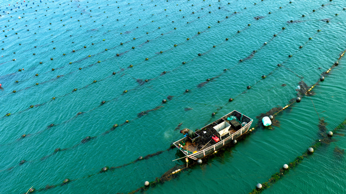 海水生态养殖专业发展前景如何？