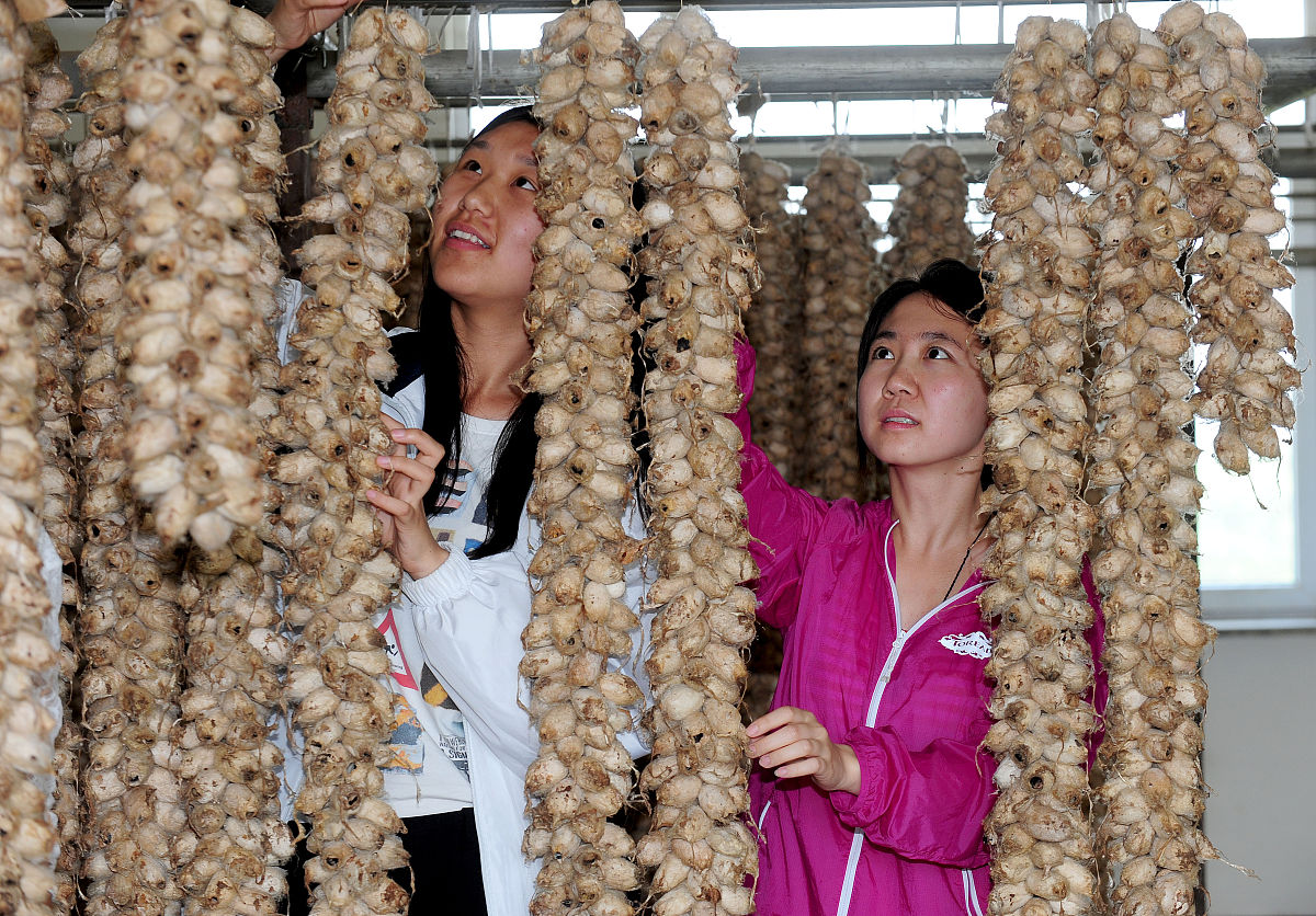 沈阳农业大学生物科学专业怎么样？优势、劣势及就业前景分析