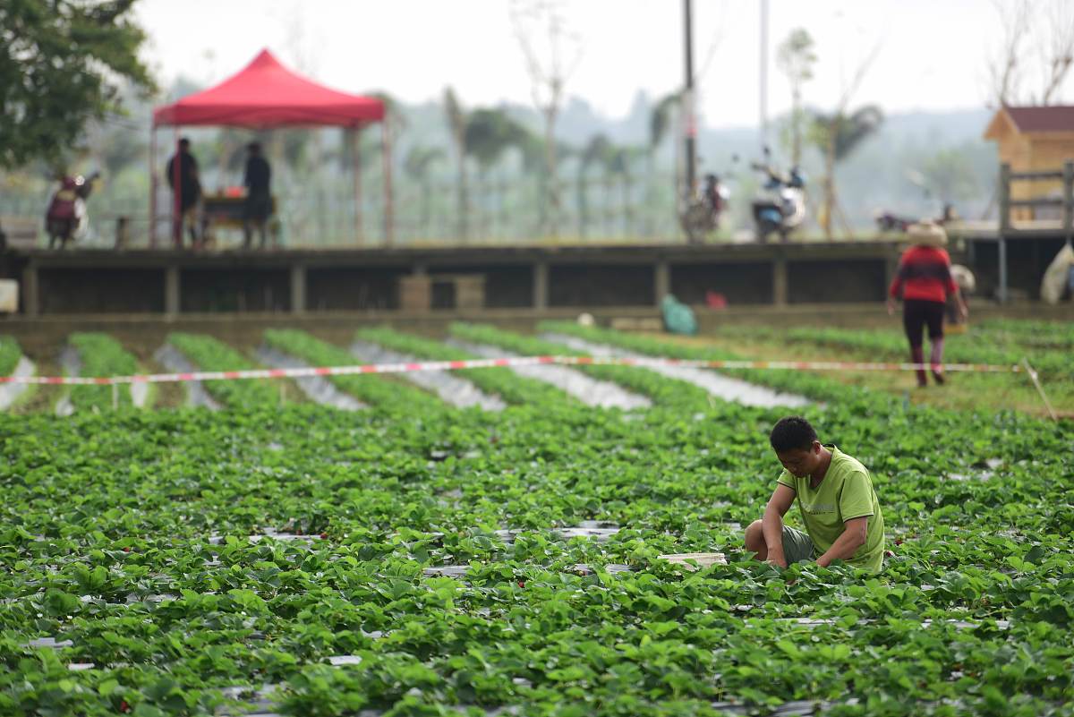 四川2021年女生中专学什么好
