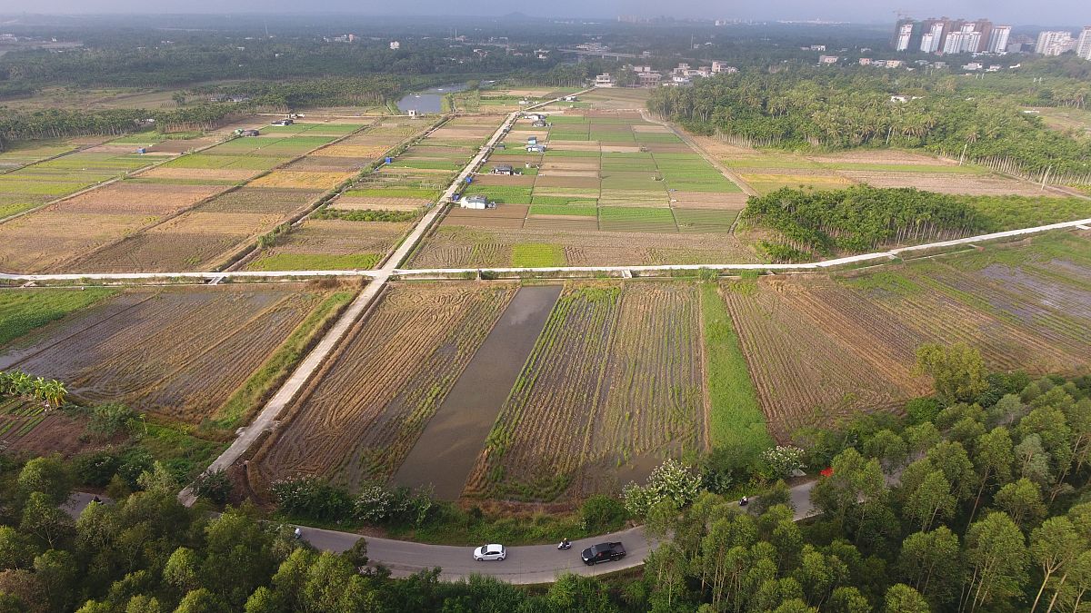 全域土地综合整治项目施工要点：从前期准备到质量管理