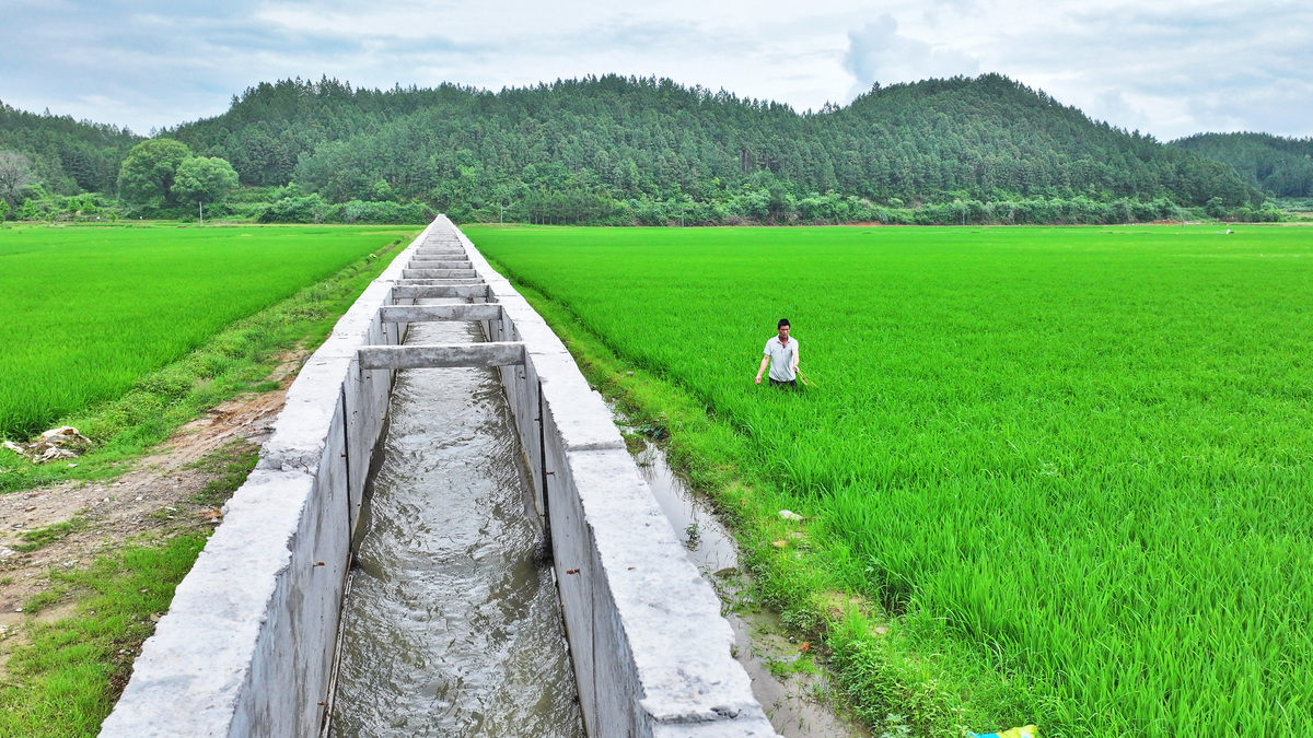小型水库与山地灌溉：农业灌溉的稳定水源与节水技术