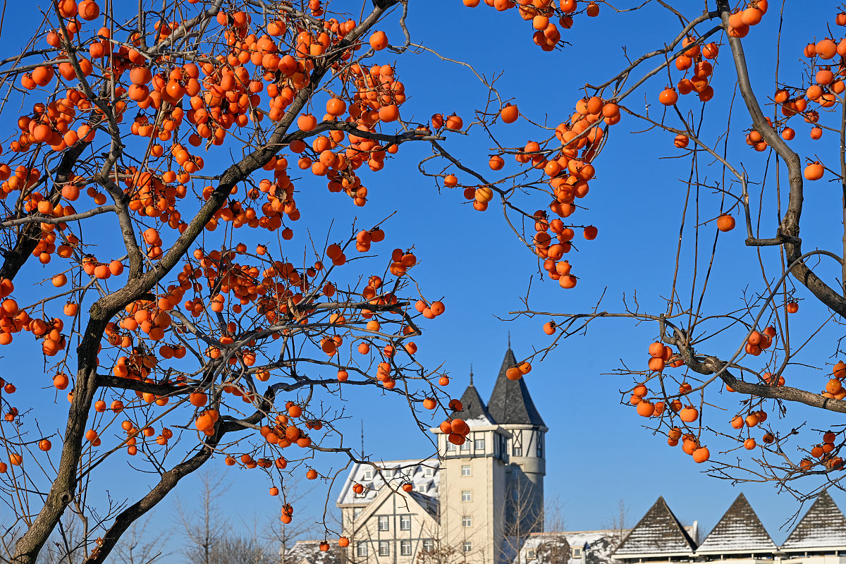 烟台城府职业学校录取分数线多少？2021年招生情况介绍