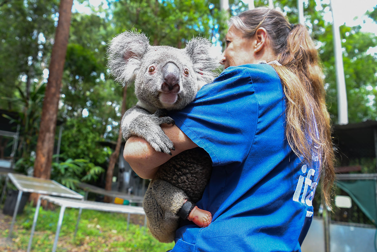 解决 LaTeX2MathML 转换错误：ExtraLeftOrMissingRightError