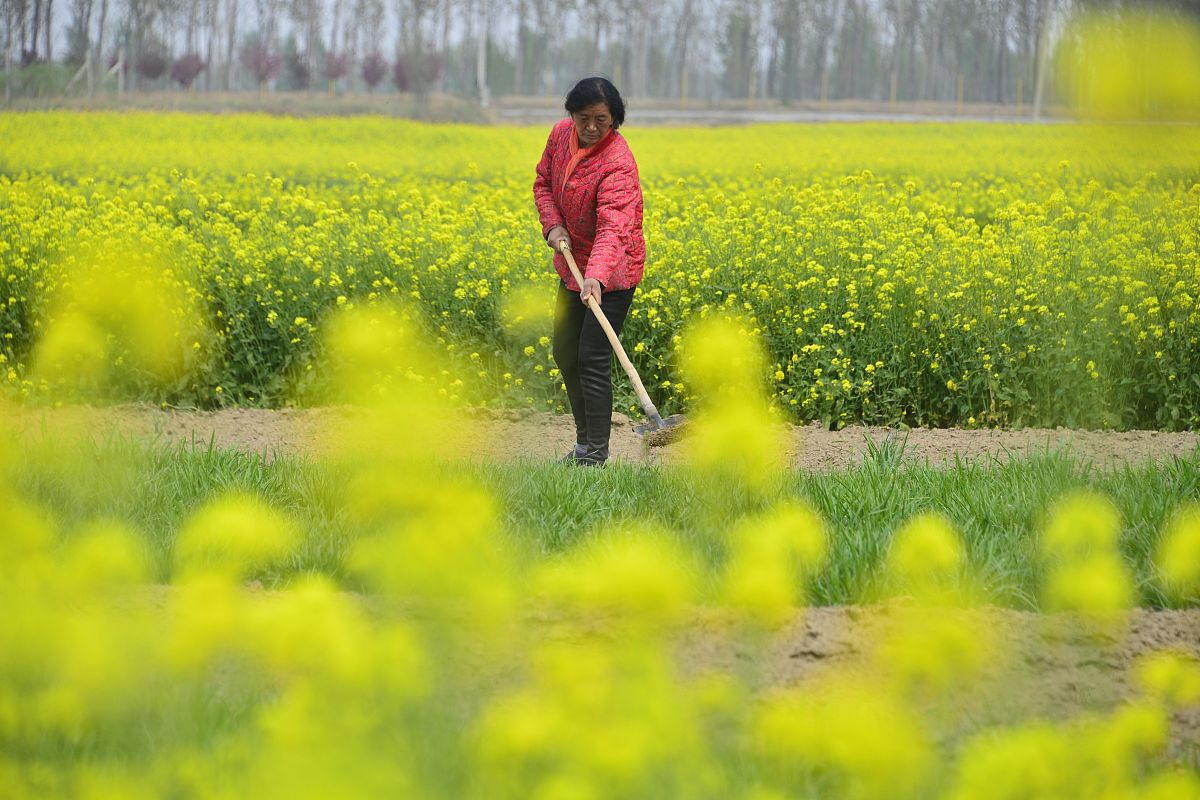长春市农业学校招生简章