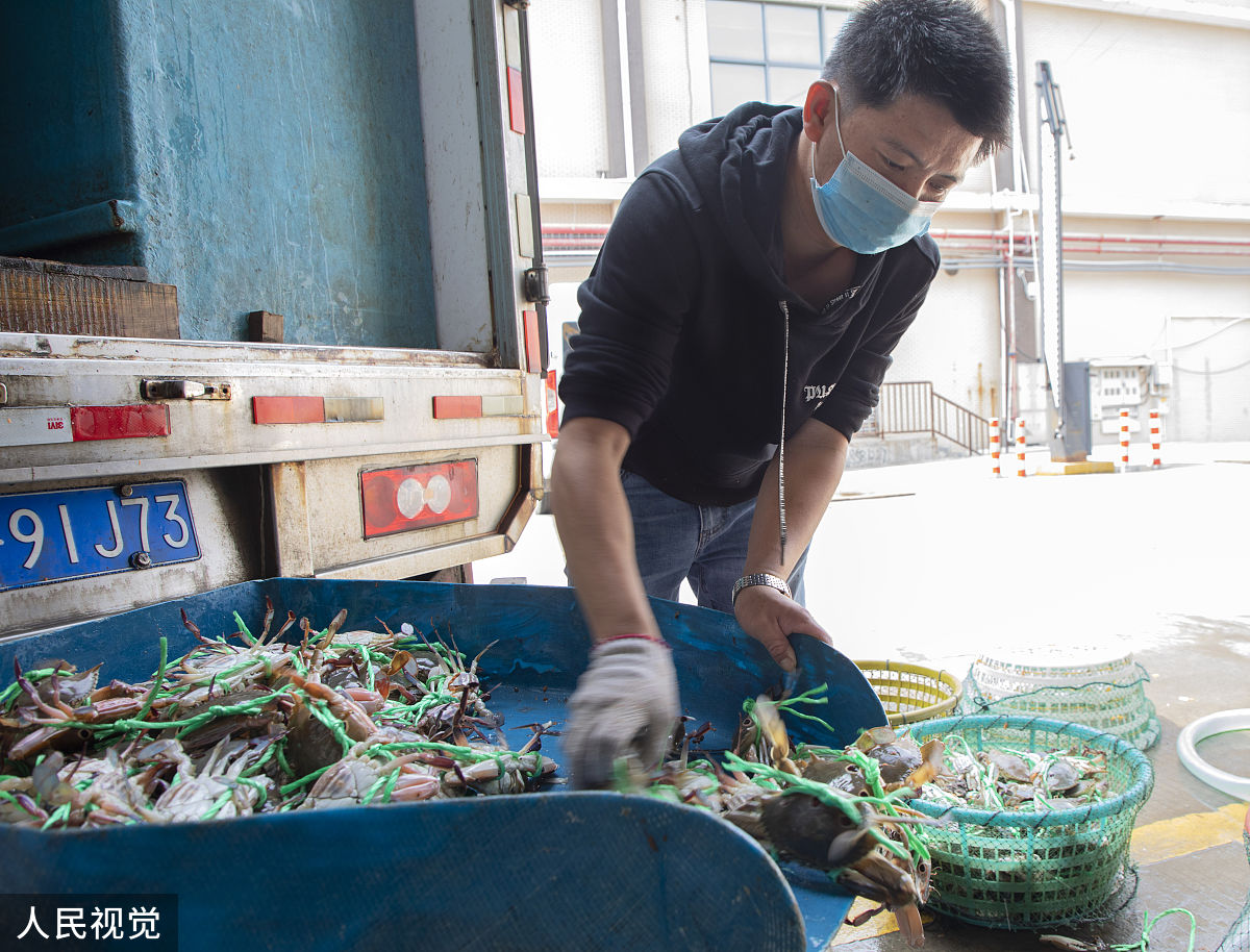 中国水产动物保健市场有哪些特点？