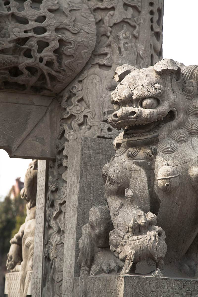 写一段《本草中国》纪录片的观后感