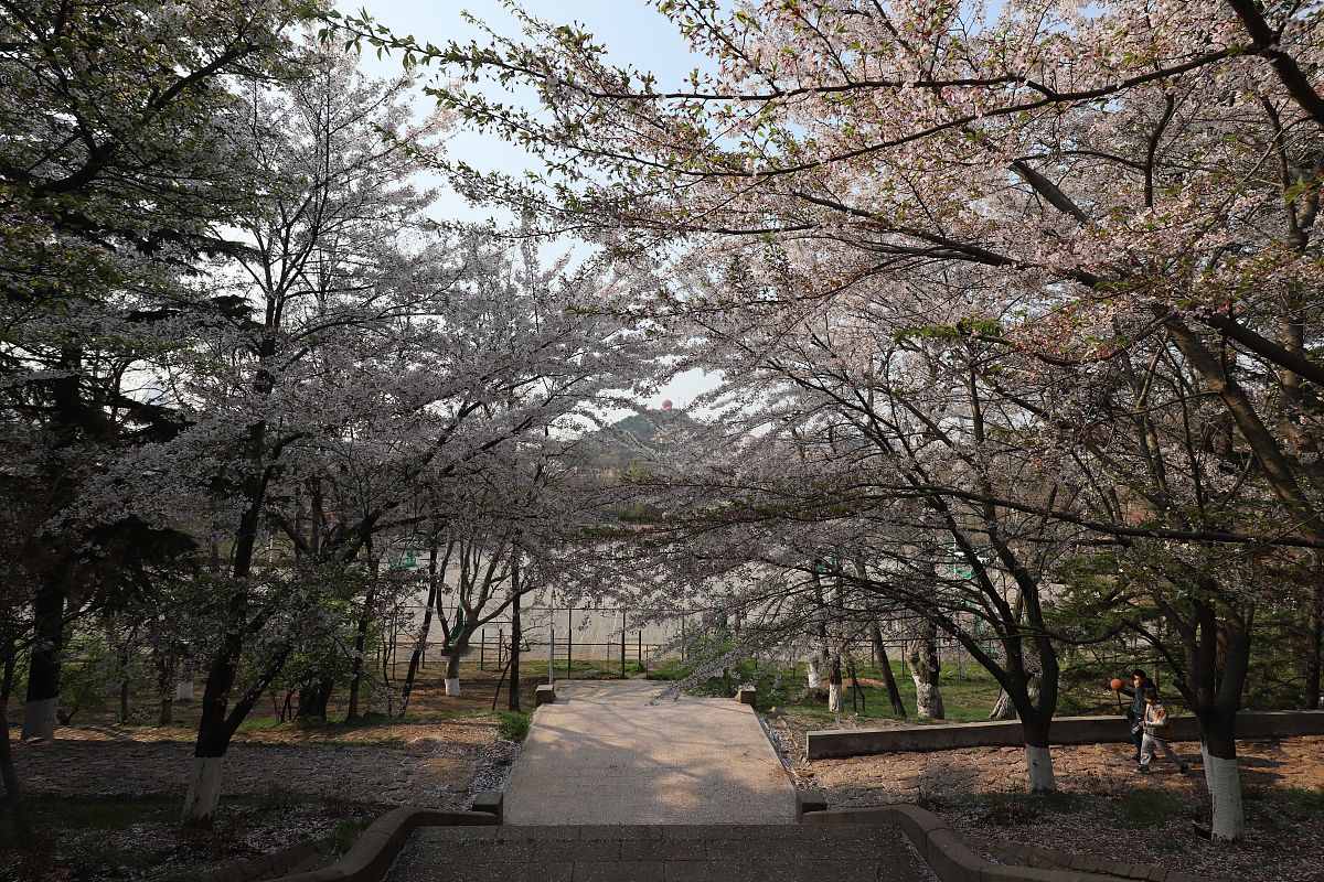 广东海洋大学经济学专业怎么样？课程设置、实践机会、就业前景全面解析