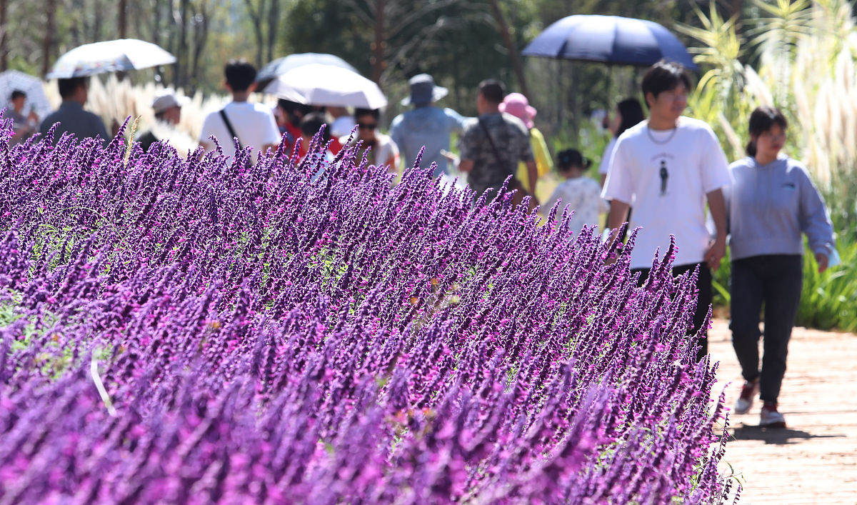 昆明之旅：探秘春城魅力
