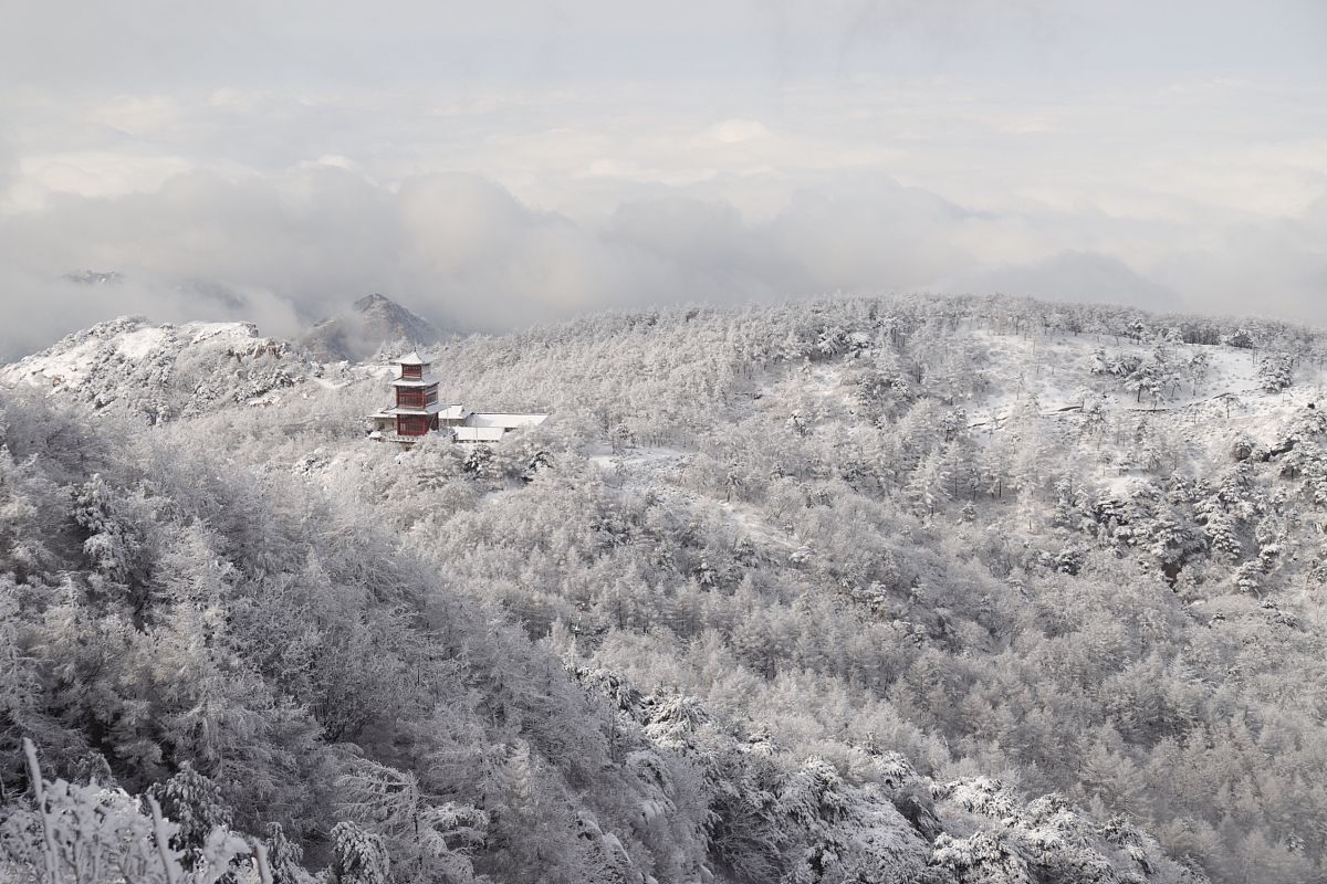 2021年3月1日,山东泰安,一场春雪降临,泰山变成了美轮美奂的"冰雪世界