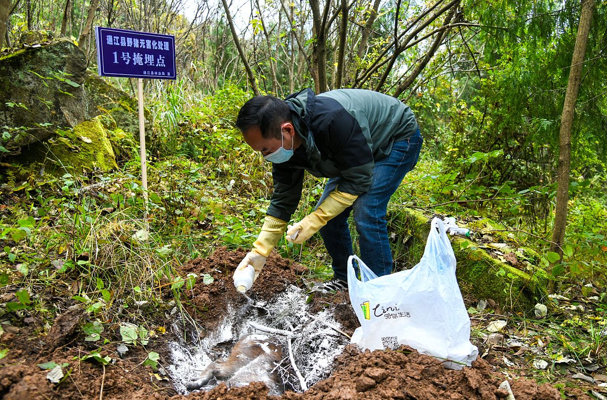 游客对农场的破坏现象有哪些