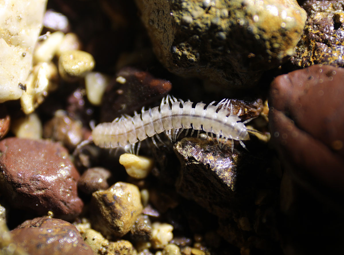 湖库季节性缺氧与水深的关系？