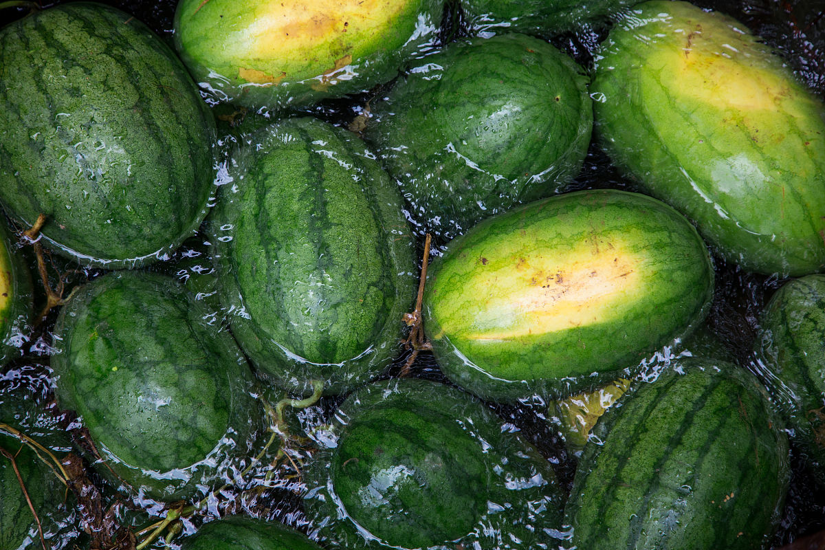 山东力明科技职业学院地址及乘车路线