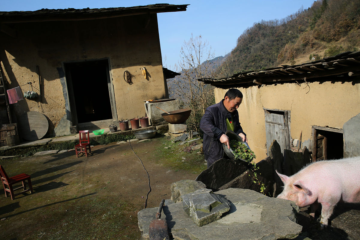 2019年12月11日,陕西安康岚皋堰门镇,一条叫水磨沟的深山沟里,58岁的
