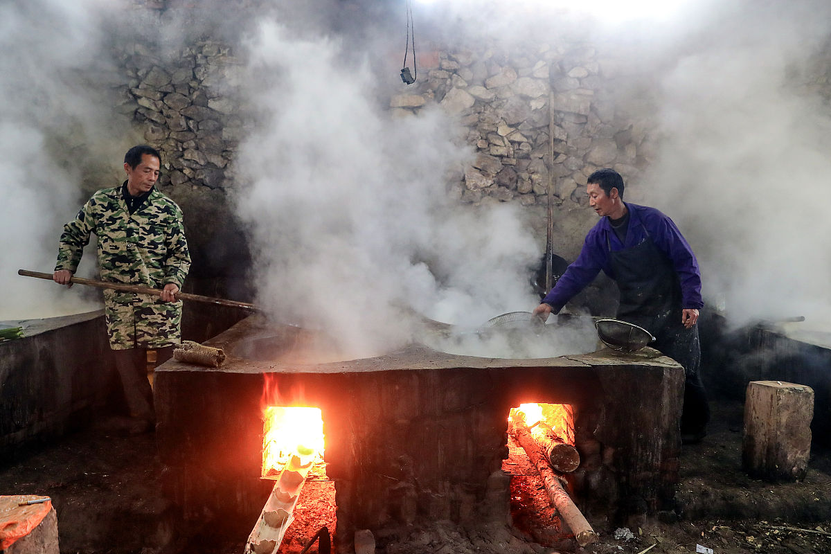 校园里的甜蜜：美味、友谊和快乐