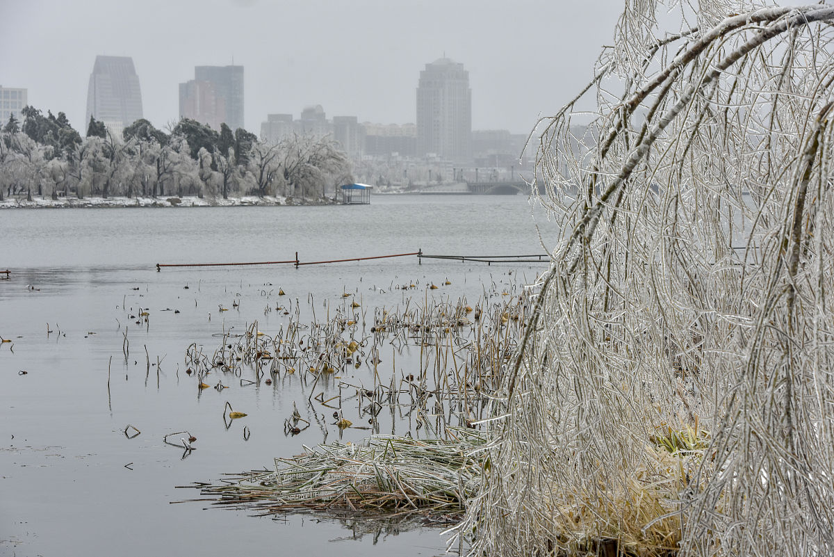 2020年11月20日,一场冻雨加大雪之后,长春整个城市变成水晶世界,南湖