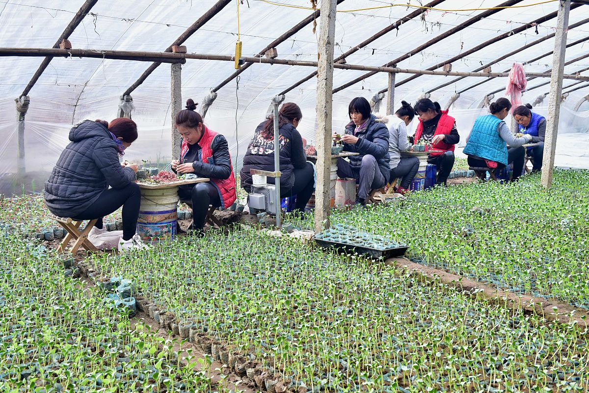湖州现代农业技术学校：优势与不足，适合你的选择吗？