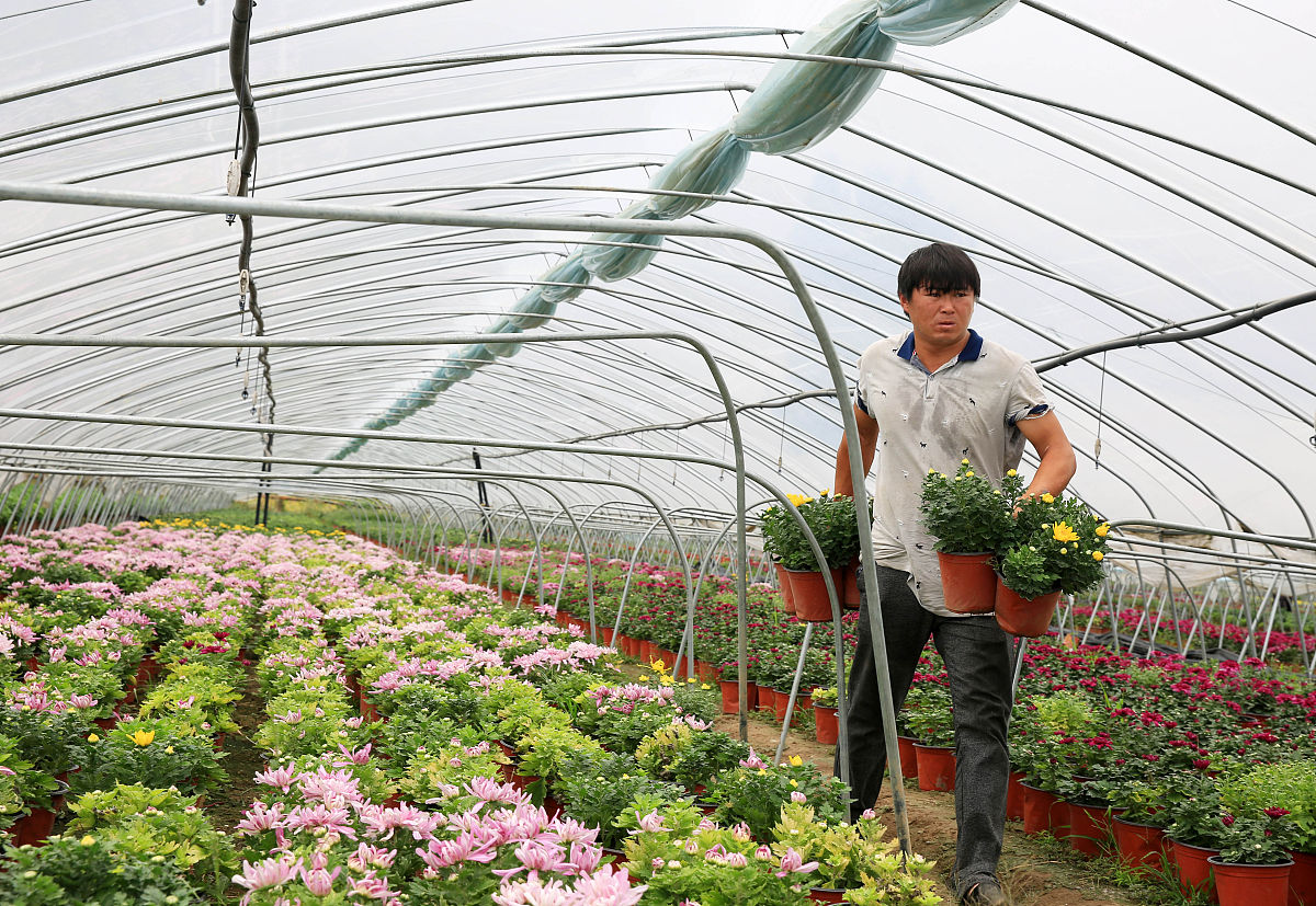 楚雄农业学校果蔬花卉生产技术专业怎么样