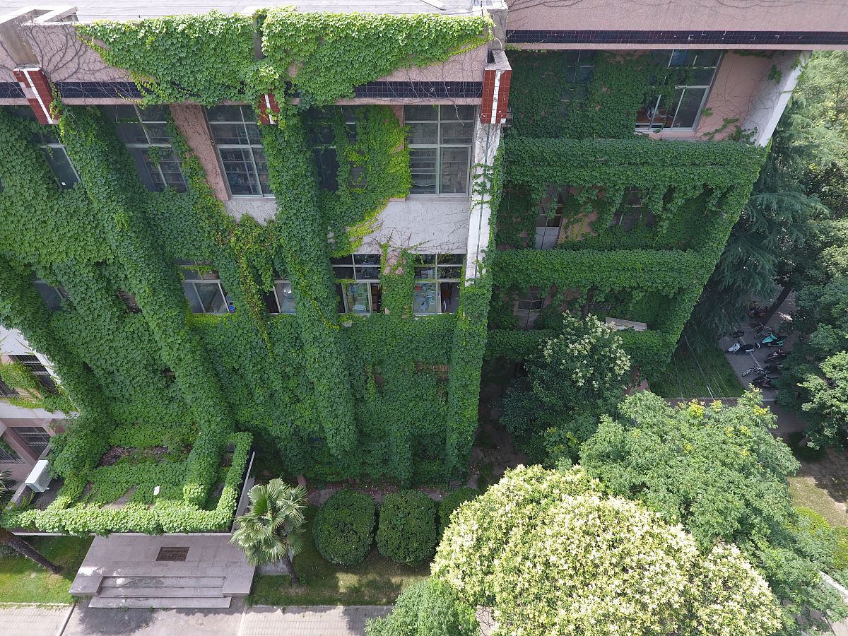 河南农业大学是公办还是民办？ - 深入解析