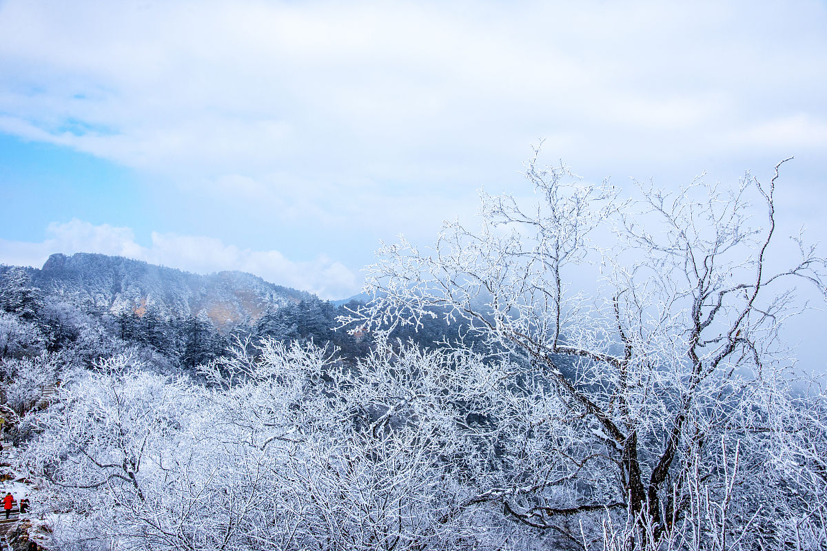 四川可以读西式烹饪专业的职校有哪些