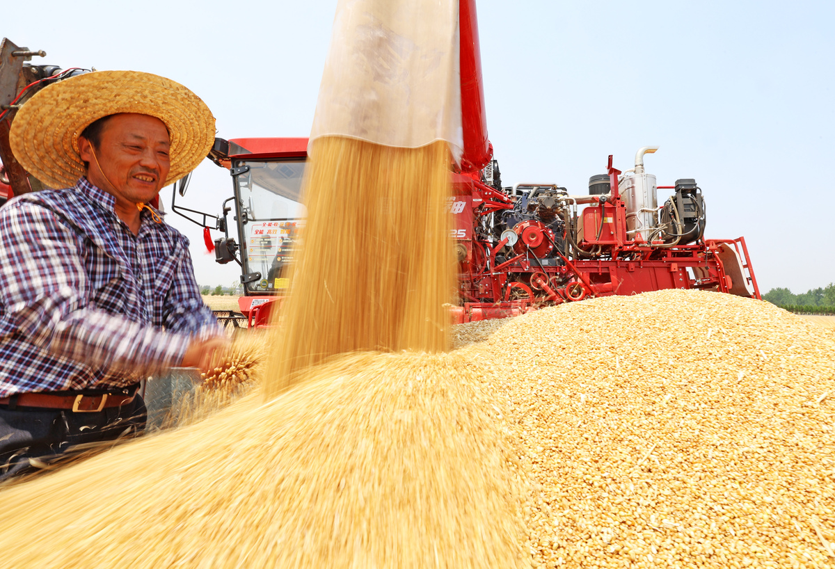 写一篇粮食调研报告