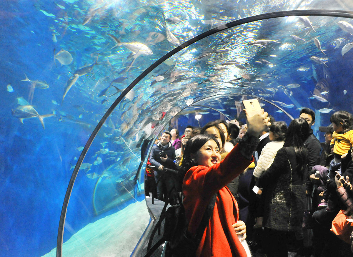 孙悟空大闹龙宫：绮罗的噩梦