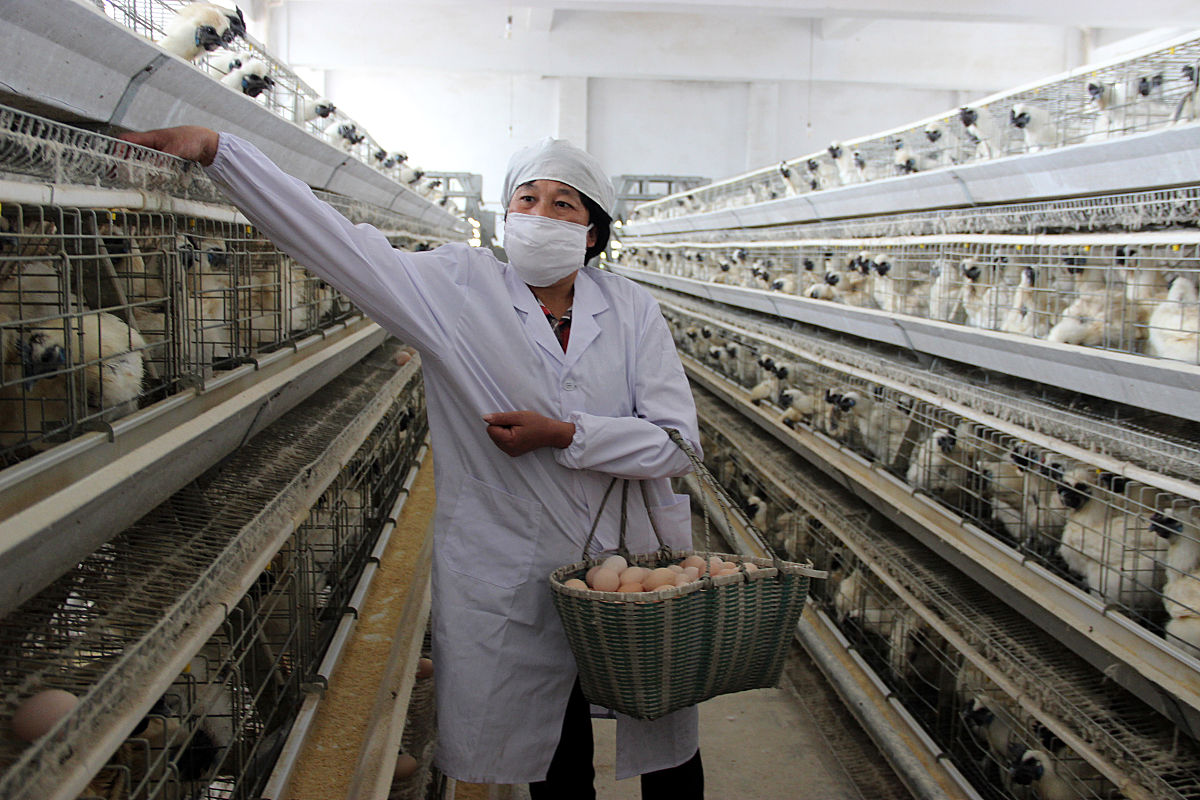 黔东南技师学院电梯工程技术专业好不好发展前景怎样怎么样