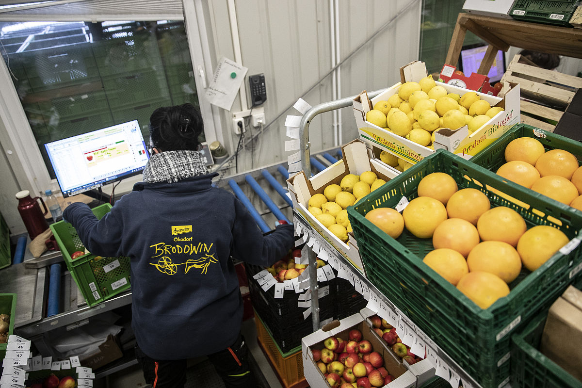 新冠疫情下企业社会责任对消费者购买意愿的影响-以品牌价值感知为中介变量论文的文献综述