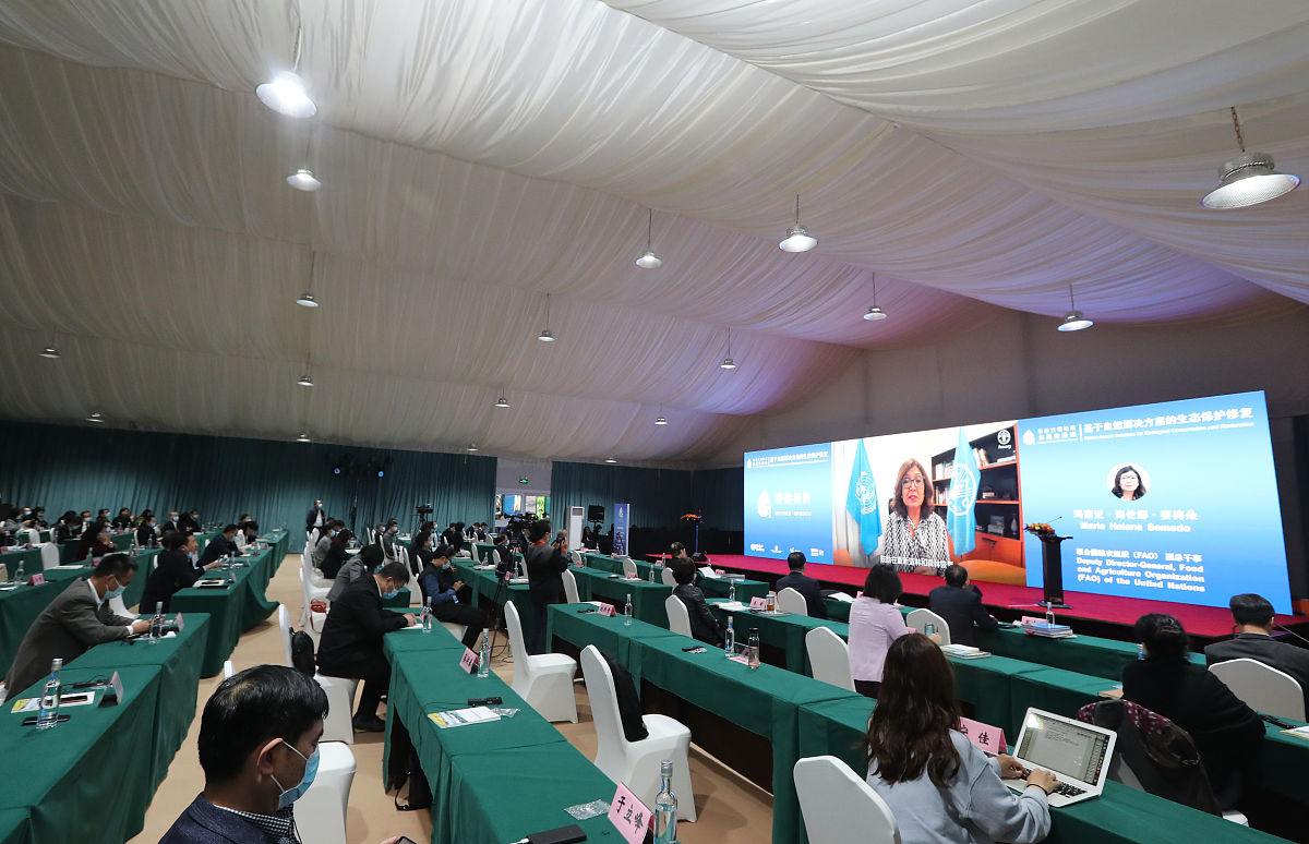浙江农业商贸职业学院大数据与会计专业就业方向