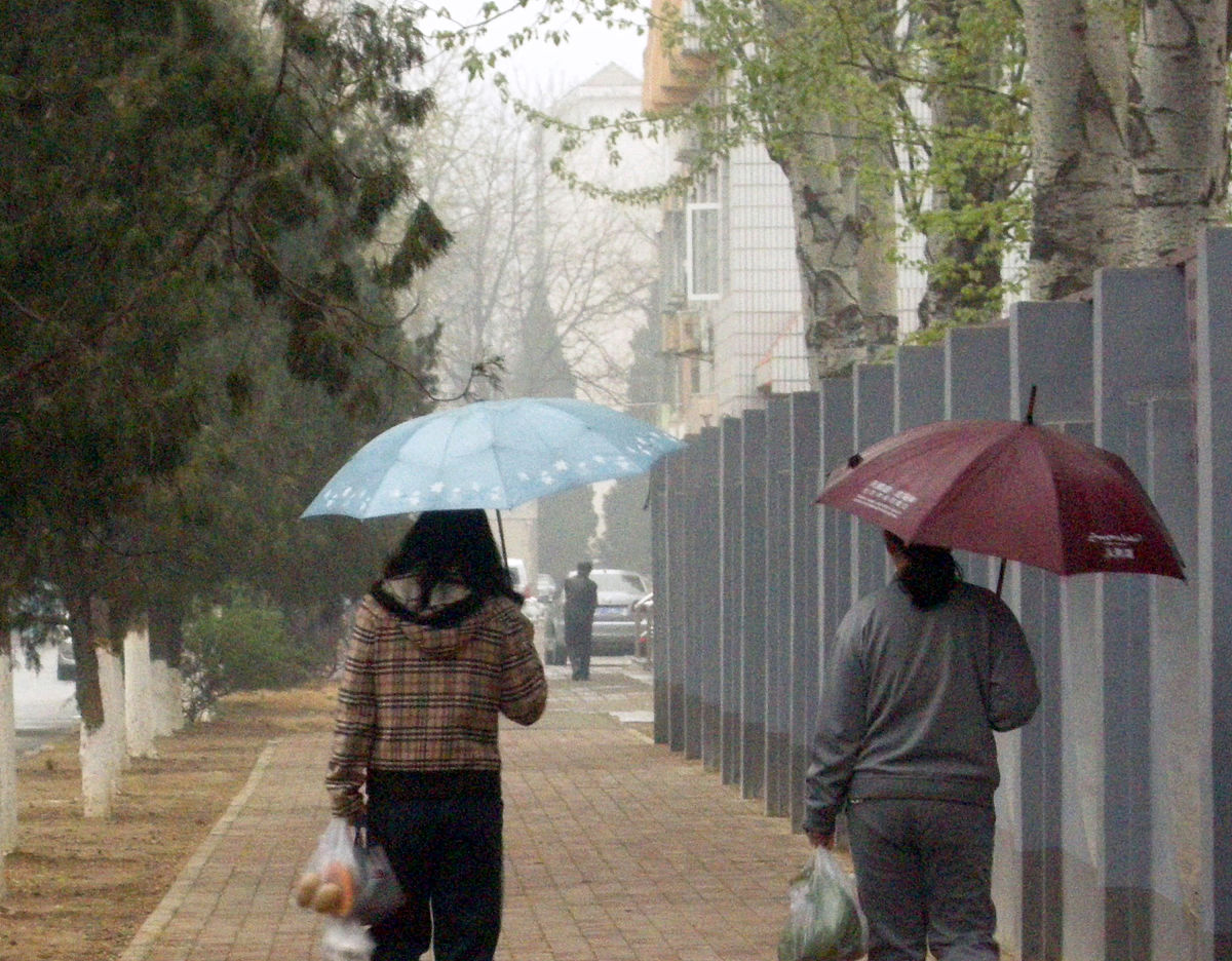 不小心在屋里撑伞了咋办