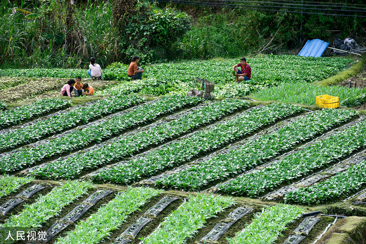 重庆市农业学校休闲农业生产与经营专业是不是热门专业？