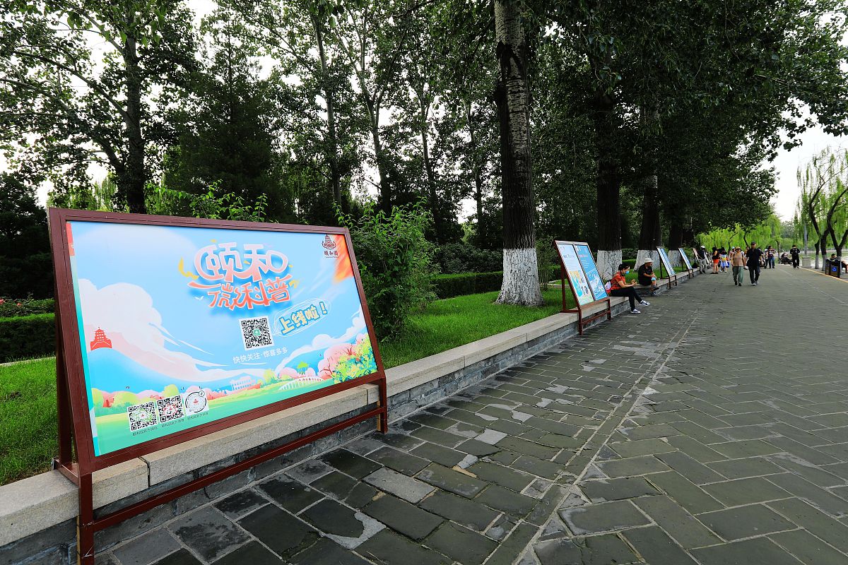 你将扮演新媒体专业的学生，解答此多选题：以下属于微信公众号类型的是(ABCD)
A.服务号
B.订阅号
C.个人号
D.企业号