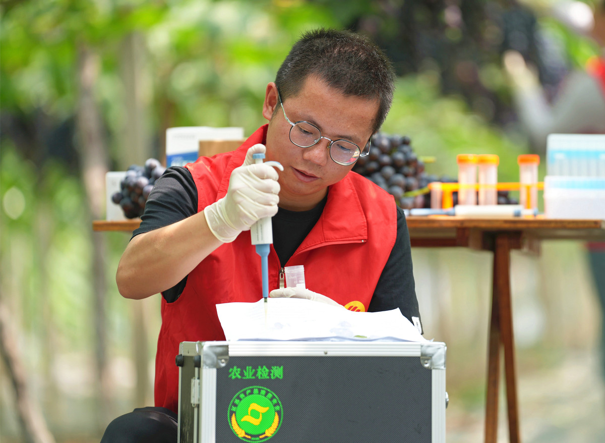 农产品溯源系统