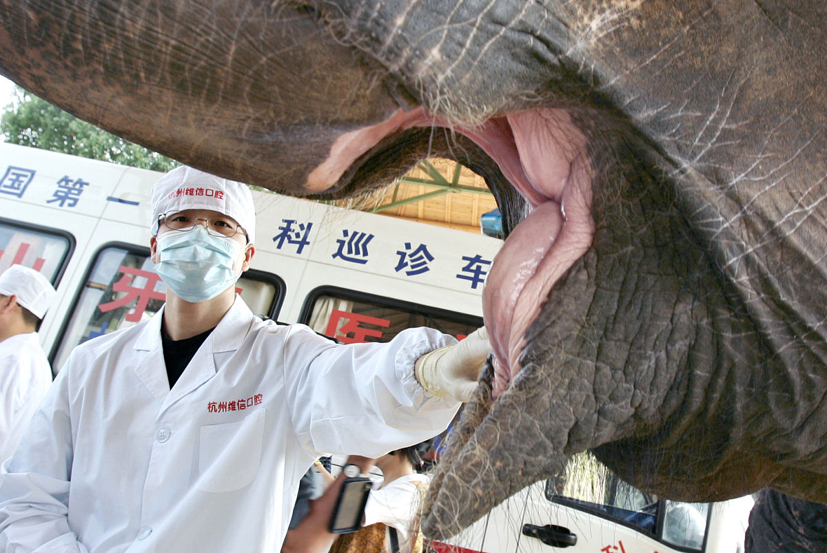 医院科研管理：制度建设、机构完善、人员培养及成果转化