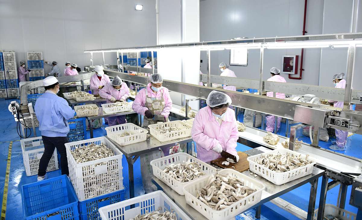 吉林农业科技学院就业前景分析：毕业生如何提升竞争力？