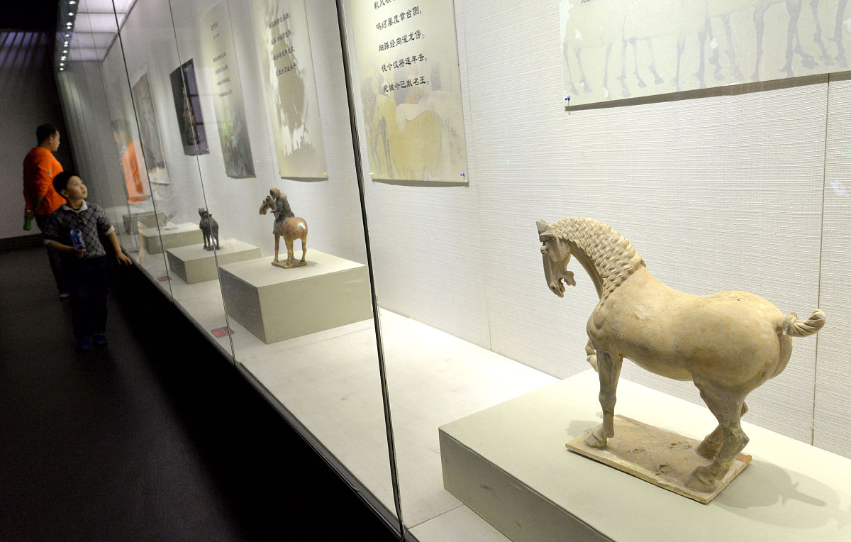 文物保护技术专业发展前景如何？