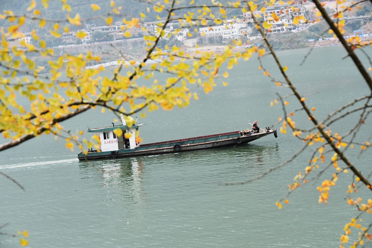 重庆幼师学校大专招生简章 | 2021年重庆幼师学校大专招生情况