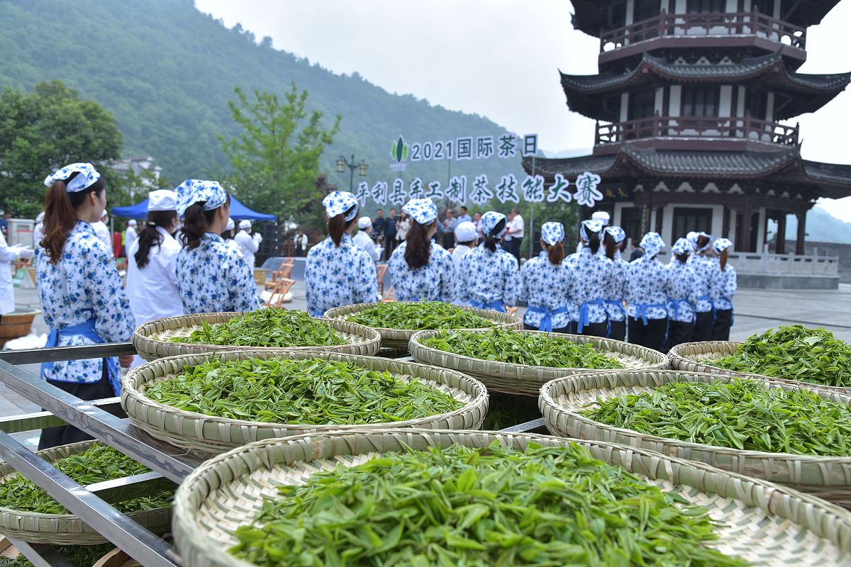 2021年5月12日,陕西安康平利县第五届"手工制茶"技能大赛,在美丽的长