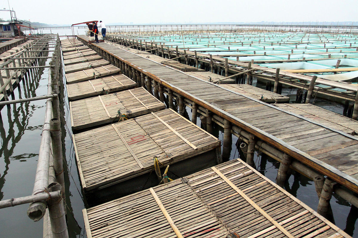 嘉善总工会职工学校水产养殖技术专业：就业前景好，值得选择！