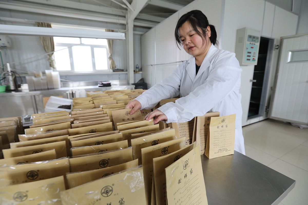 永德县职业教育中心烟草生产与加工专业2022年招生 | 培养高素质烟草人才