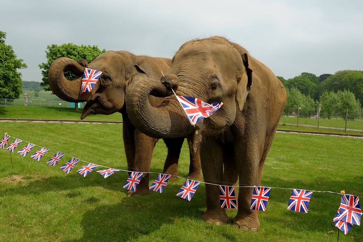并头丛是什么意思_词语并头丛的意思