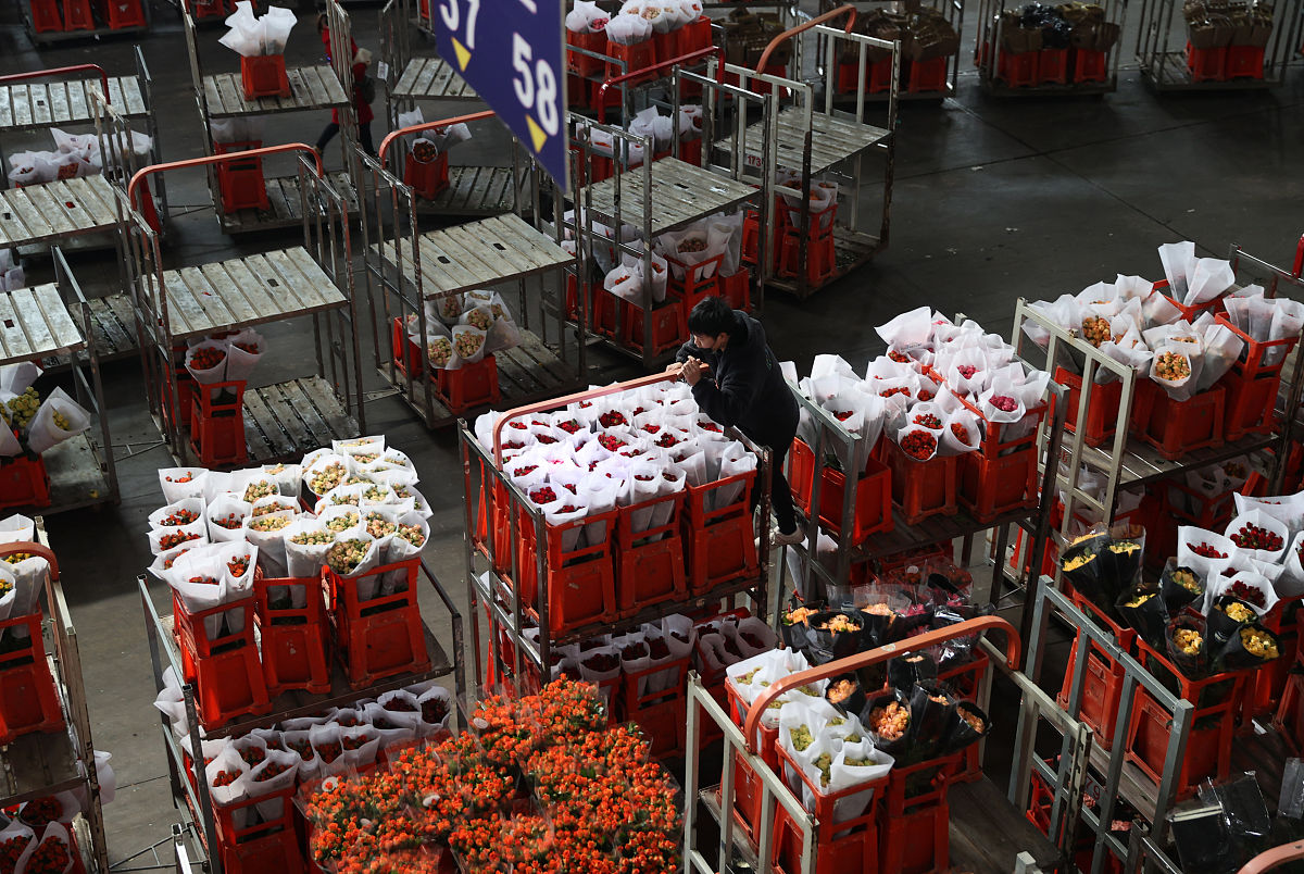 昆明2022年卫校学什么用发