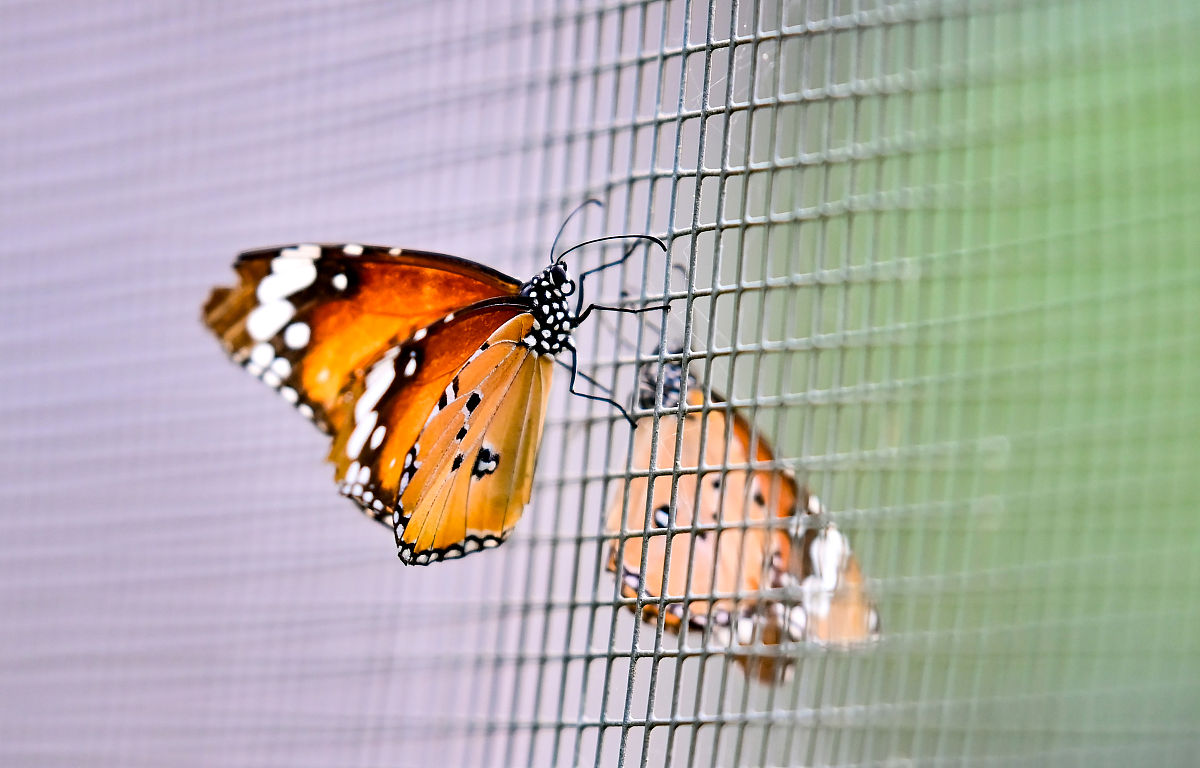 福建卫生学校怎么样？就业前景好吗？